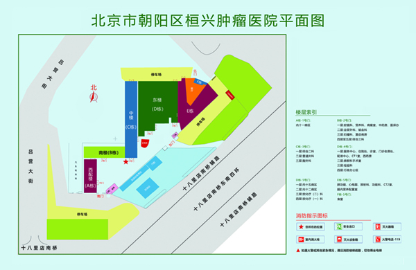 骚逼少丹视频北京市朝阳区桓兴肿瘤医院平面图